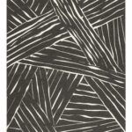 Acsento Freek Carbon