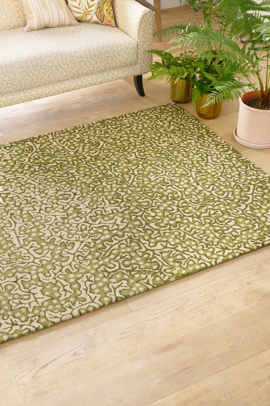 Sanderson Truffle Olive 446007 interior B outdoor